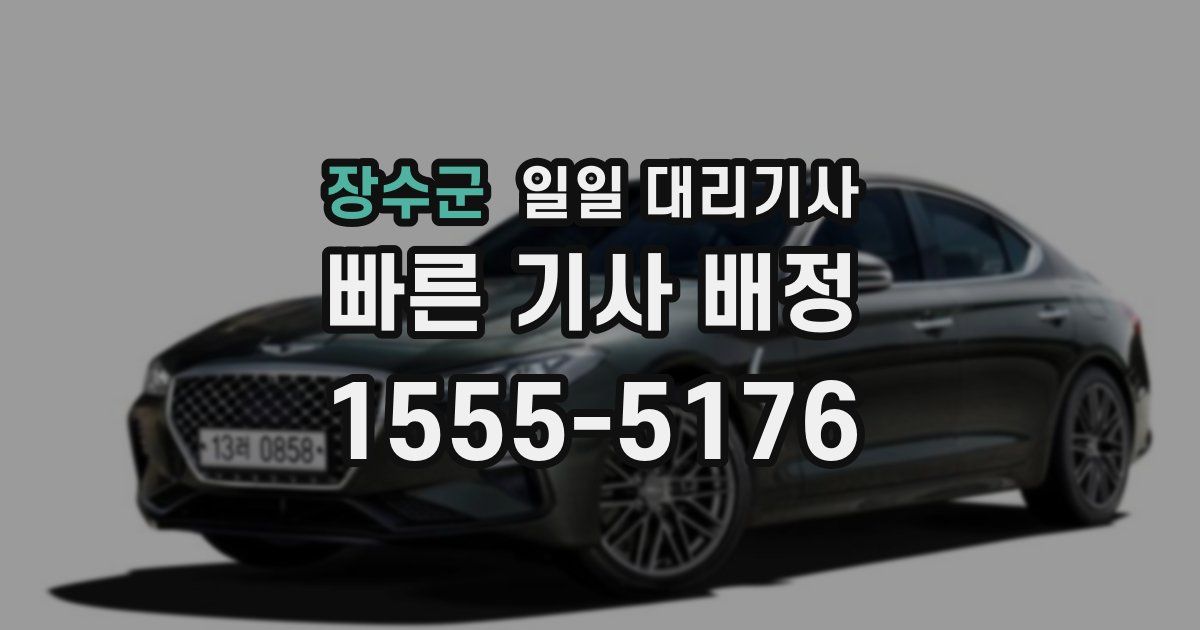 장수군 일일 대리기사