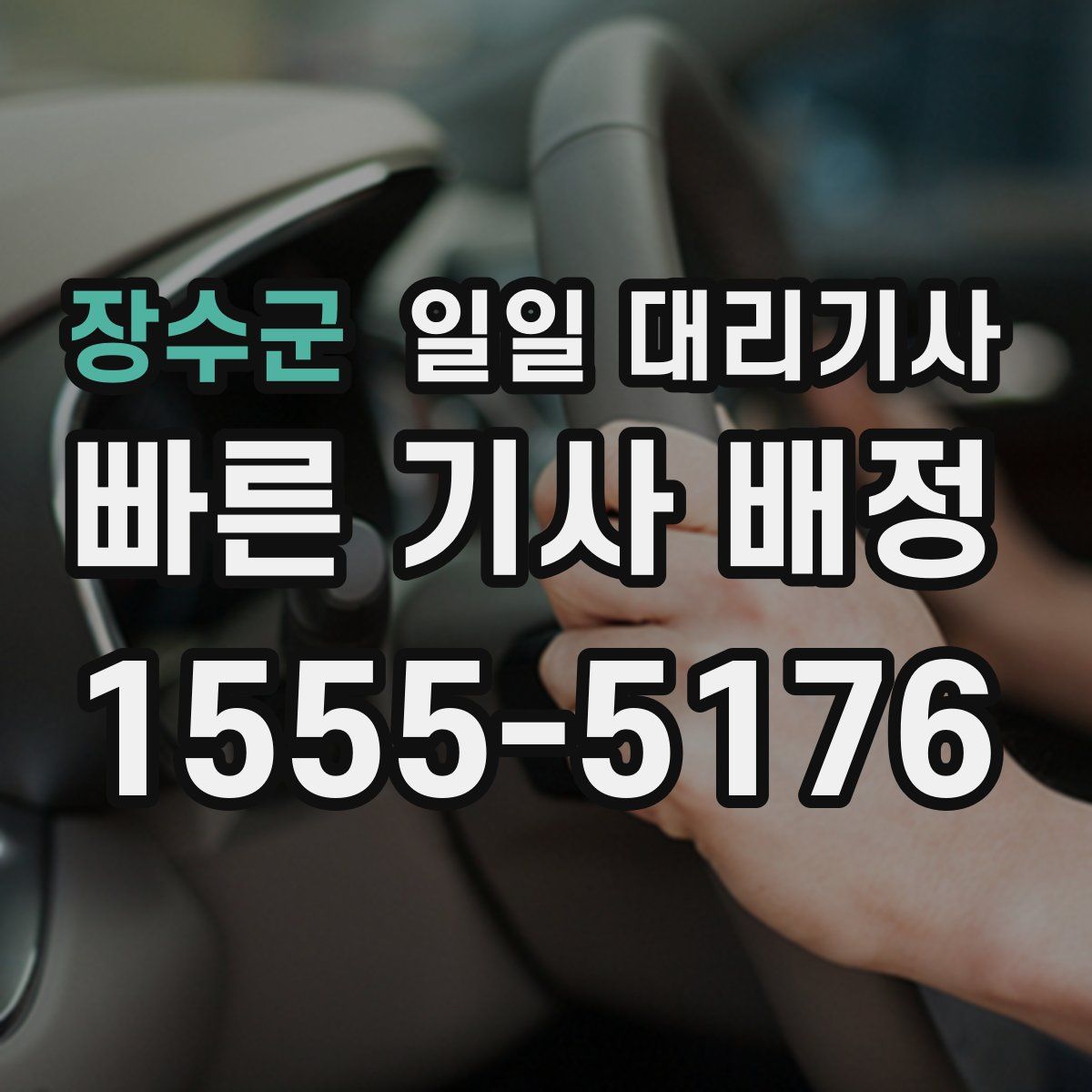 장수군 일일 대리기사
