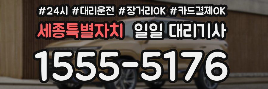 세종특별자치 일일 대리기사