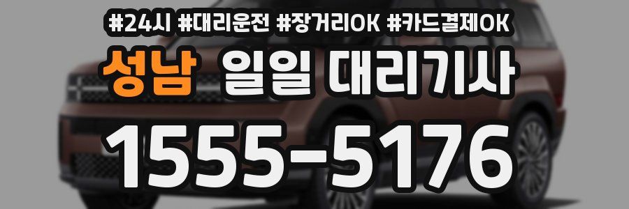 성남 일일 대리기사