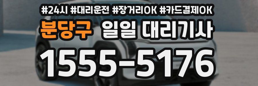 분당구 일일 대리기사