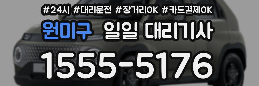 원미구 일일 대리기사