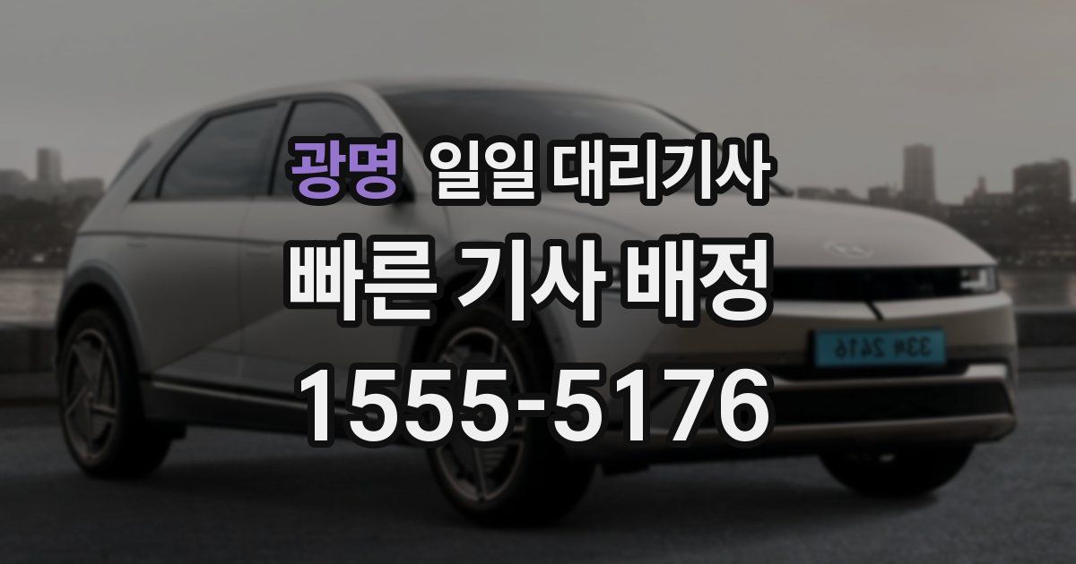 광명 일일 대리기사