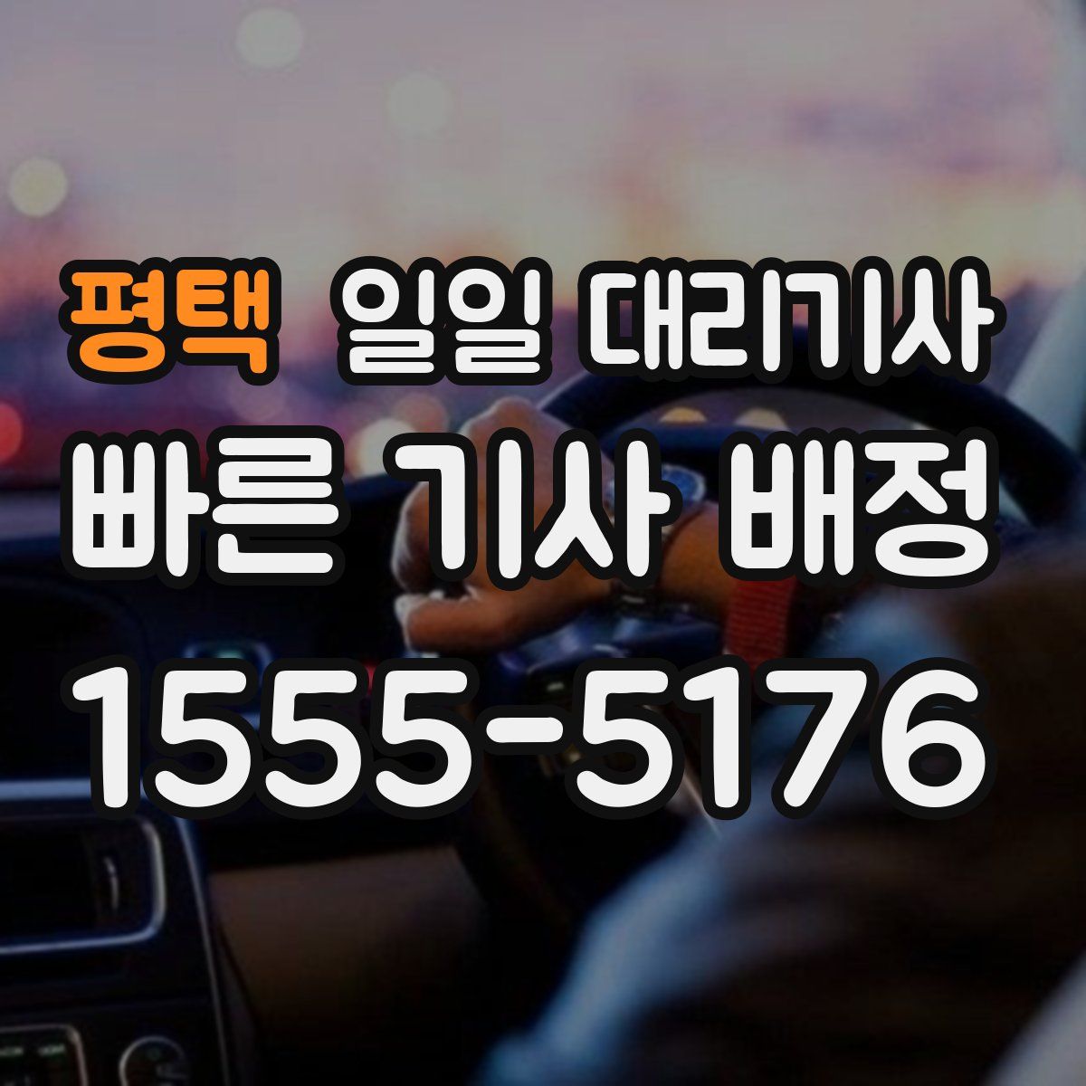 평택 일일 대리기사