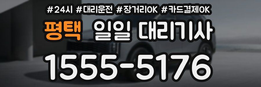 평택 일일 대리기사
