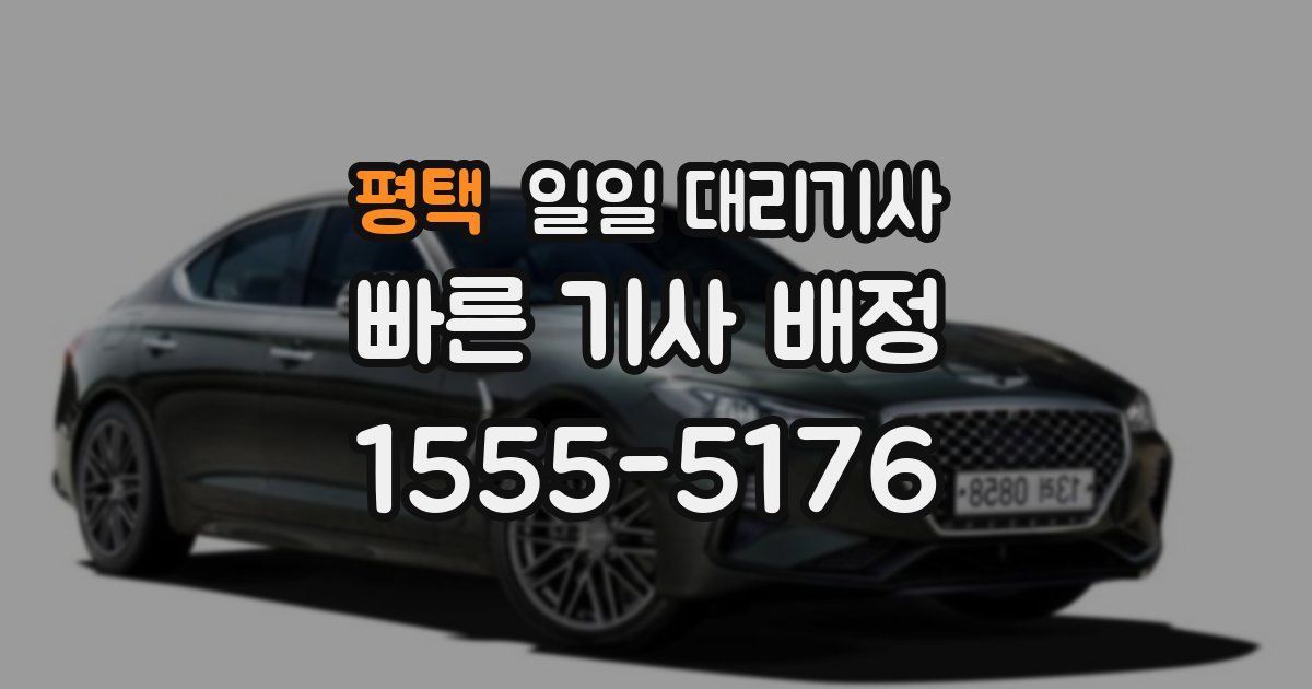 평택 일일 대리기사