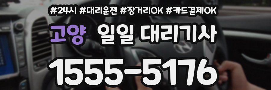 고양 일일 대리기사