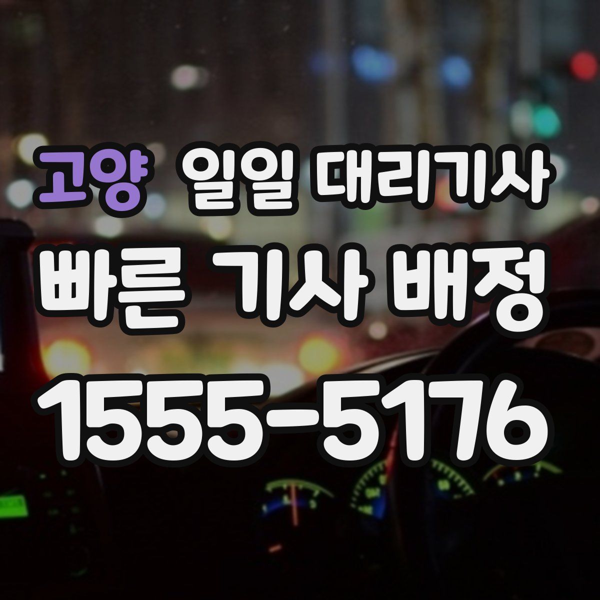 고양 일일 대리기사