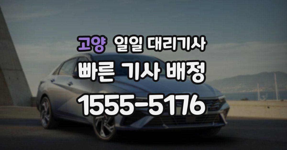 고양 일일 대리기사