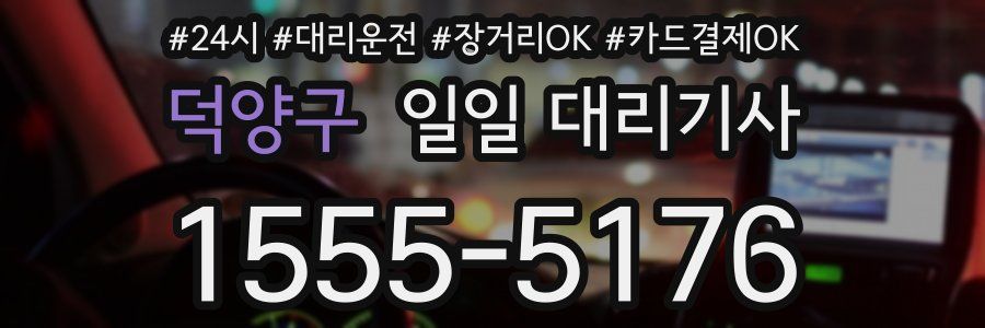 덕양구 일일 대리기사