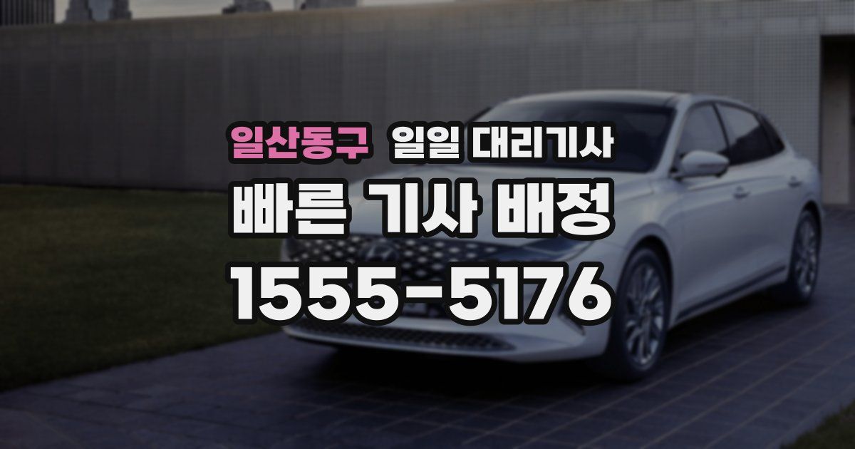 일산동구 일일 대리기사