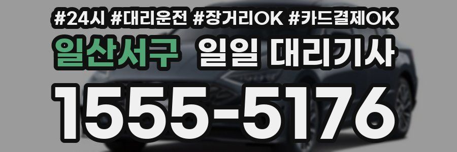 일산서구 일일 대리기사