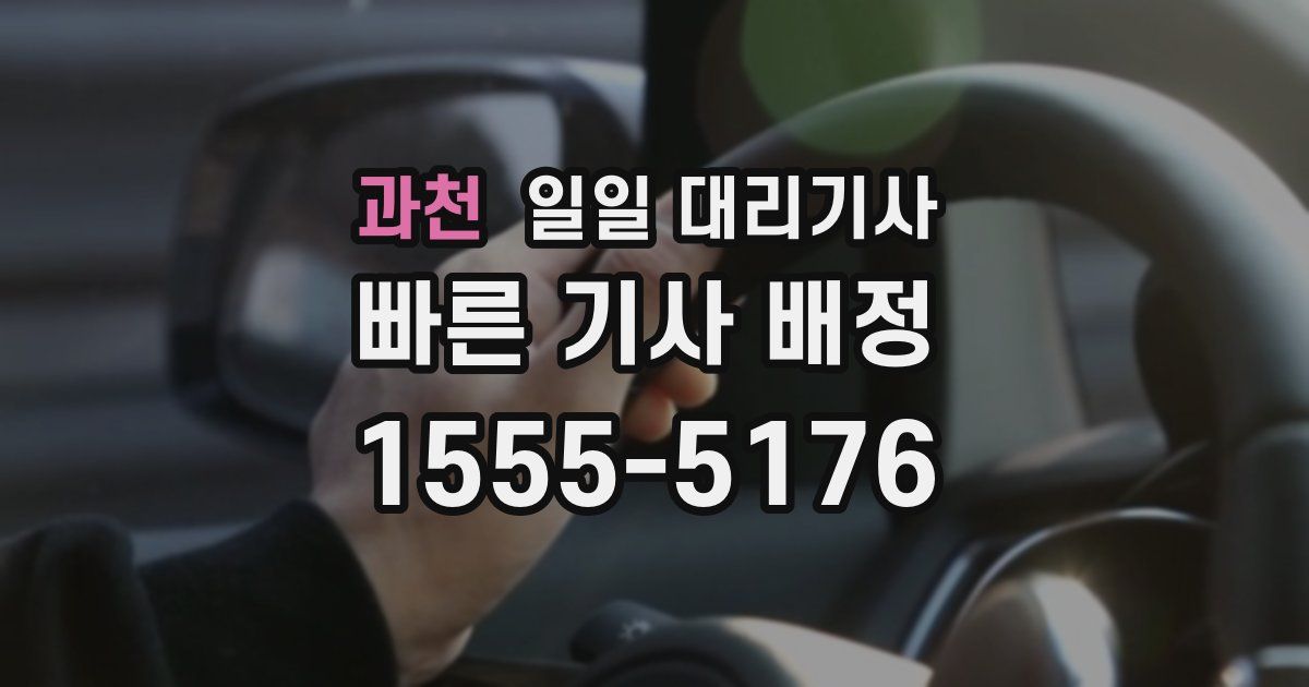 과천 일일 대리기사