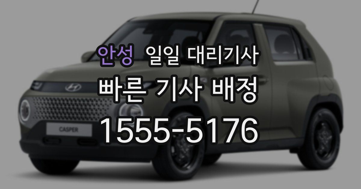 안성 일일 대리기사