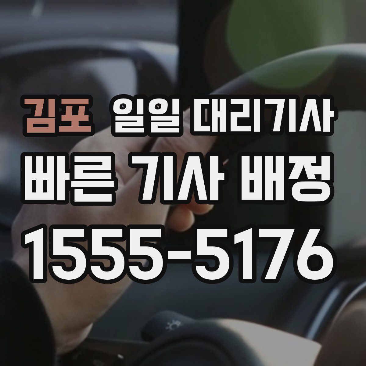 김포 일일 대리기사