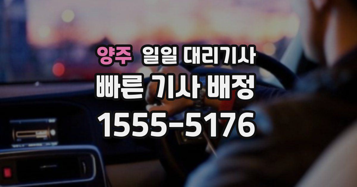 양주 일일 대리기사