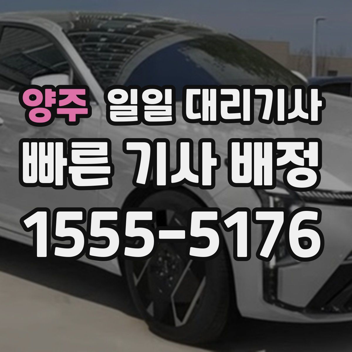 양주 일일 대리기사