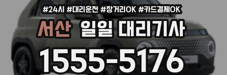 서산 일일 대리기사