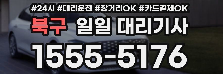 북구 일일 대리기사