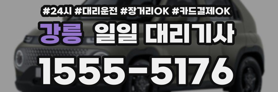 강릉 일일 대리기사