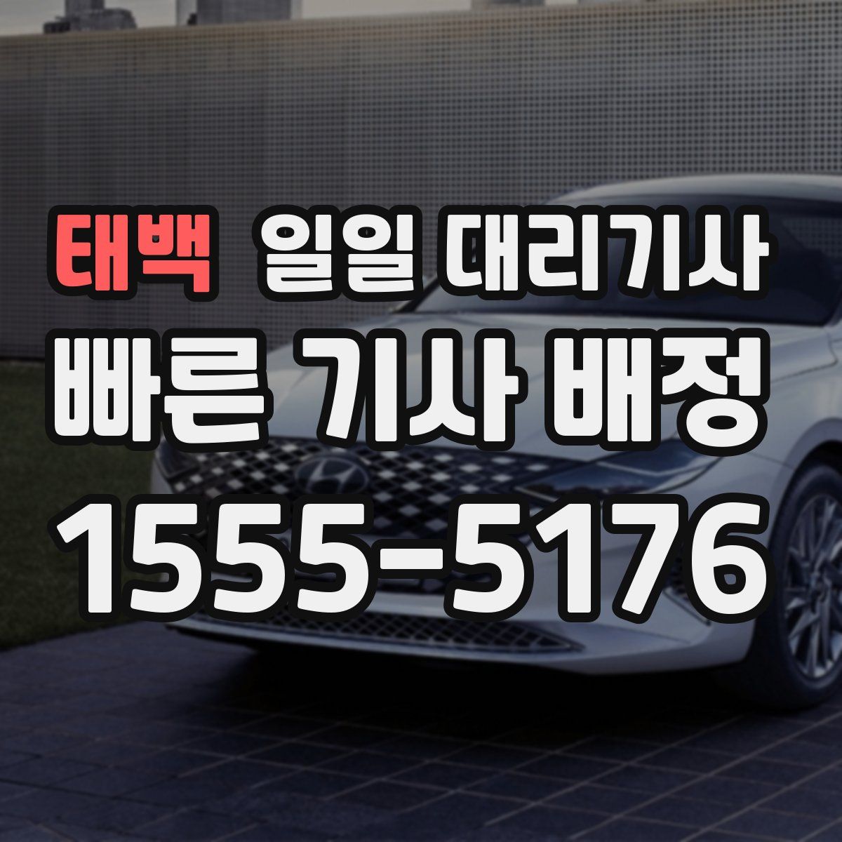 태백 일일 대리기사