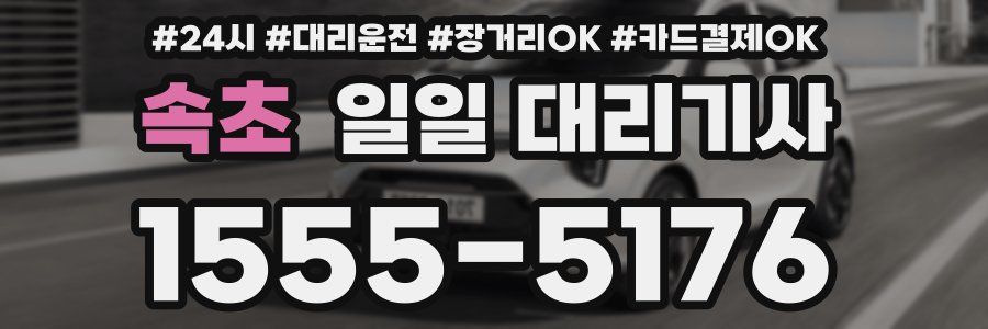 속초 일일 대리기사