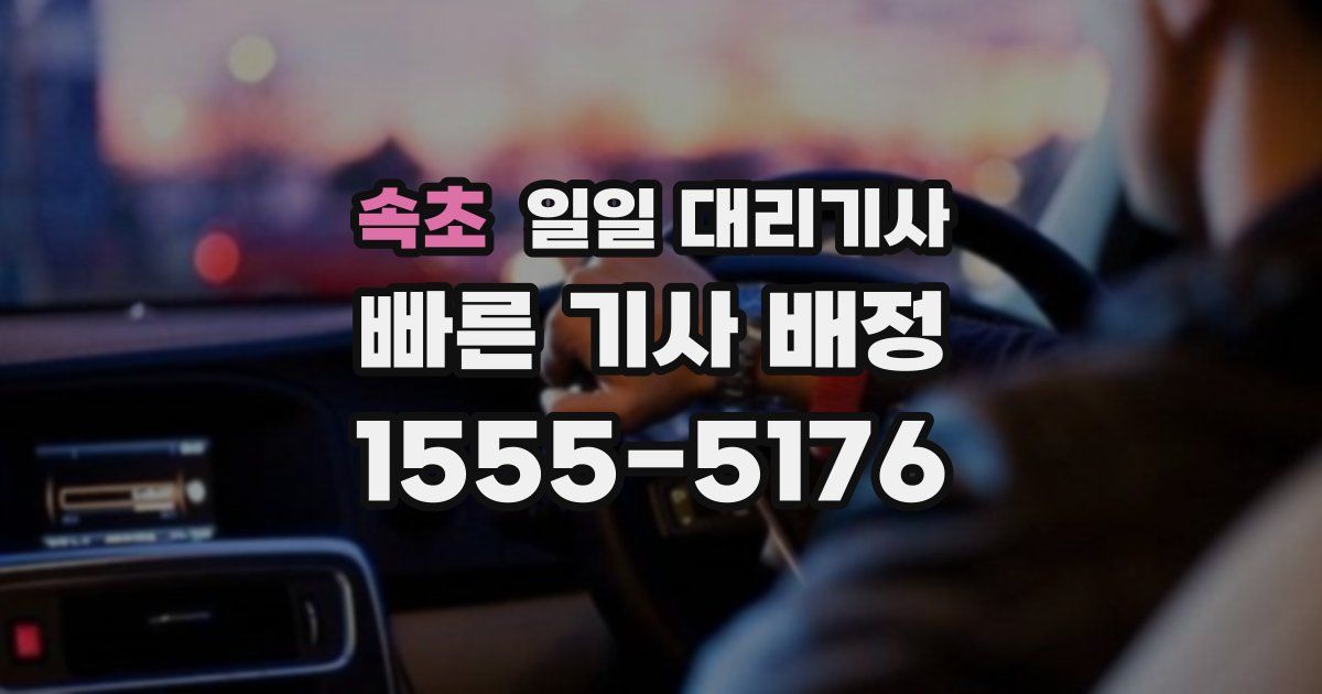 속초 일일 대리기사