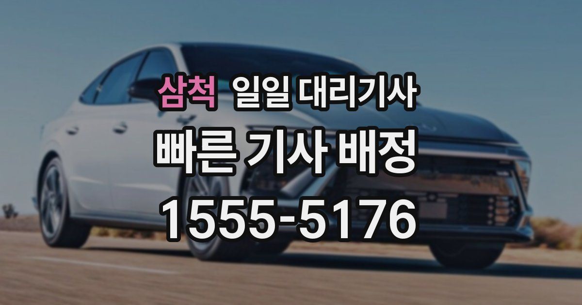 삼척 일일 대리기사