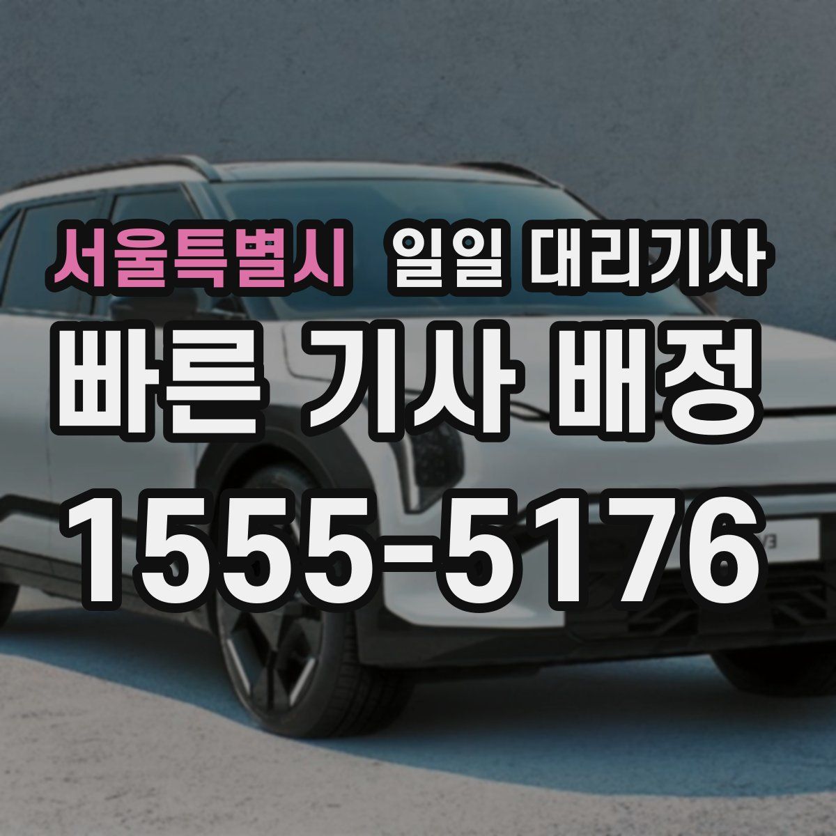 서울특별시 일일 대리기사