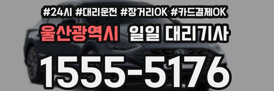 울산광역시 일일 대리기사