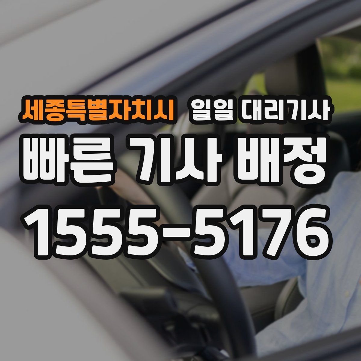 세종특별자치시 일일 대리기사