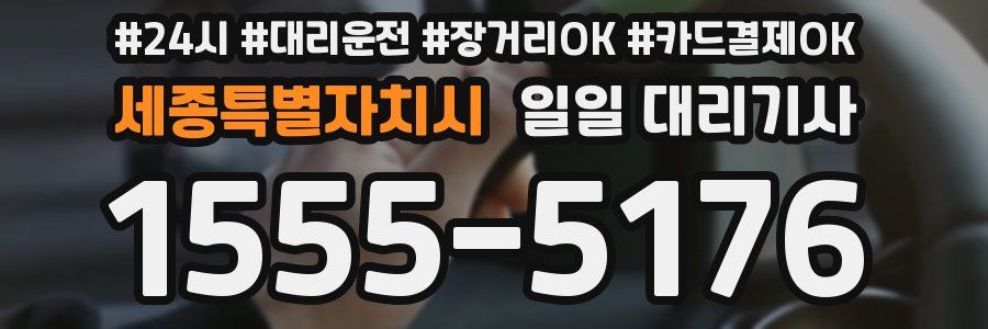 세종특별자치시 일일 대리기사