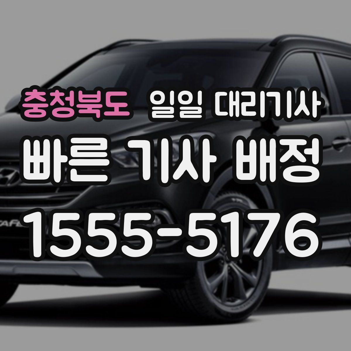 충청북도 일일 대리기사