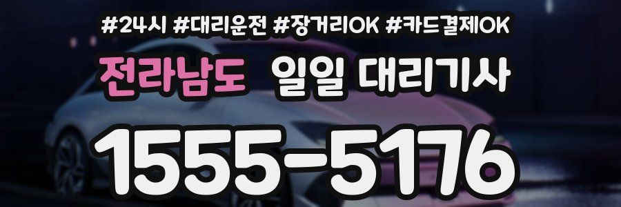 전라남도 일일 대리기사