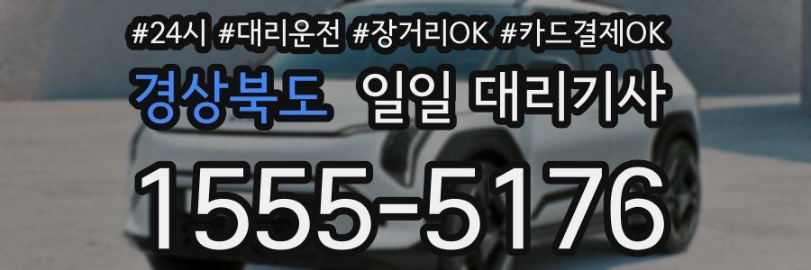 경상북도 일일 대리기사