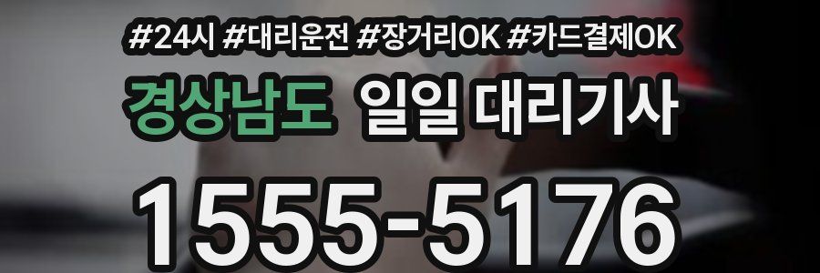 경상남도 일일 대리기사