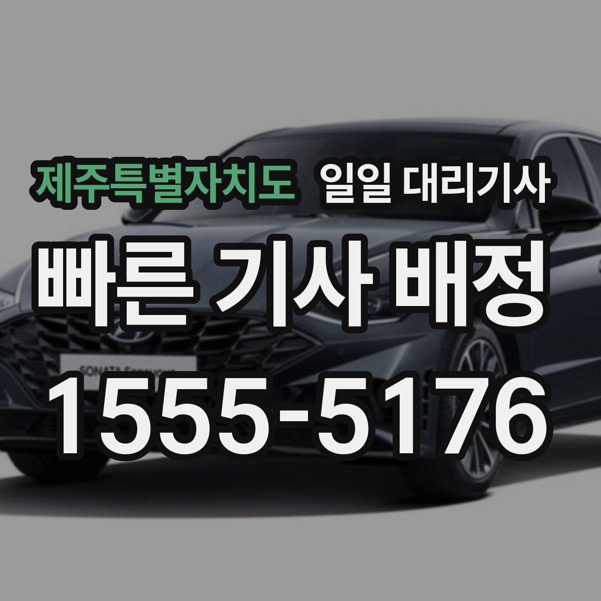 제주특별자치도 일일 대리기사