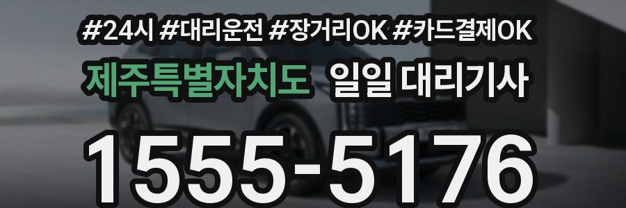 제주특별자치도 일일 대리기사