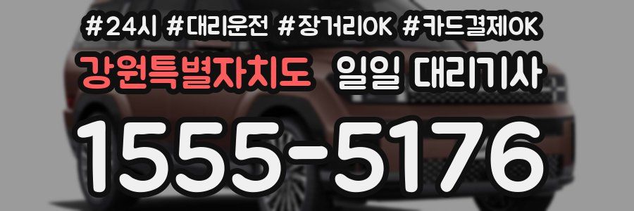 강원특별자치도 일일 대리기사