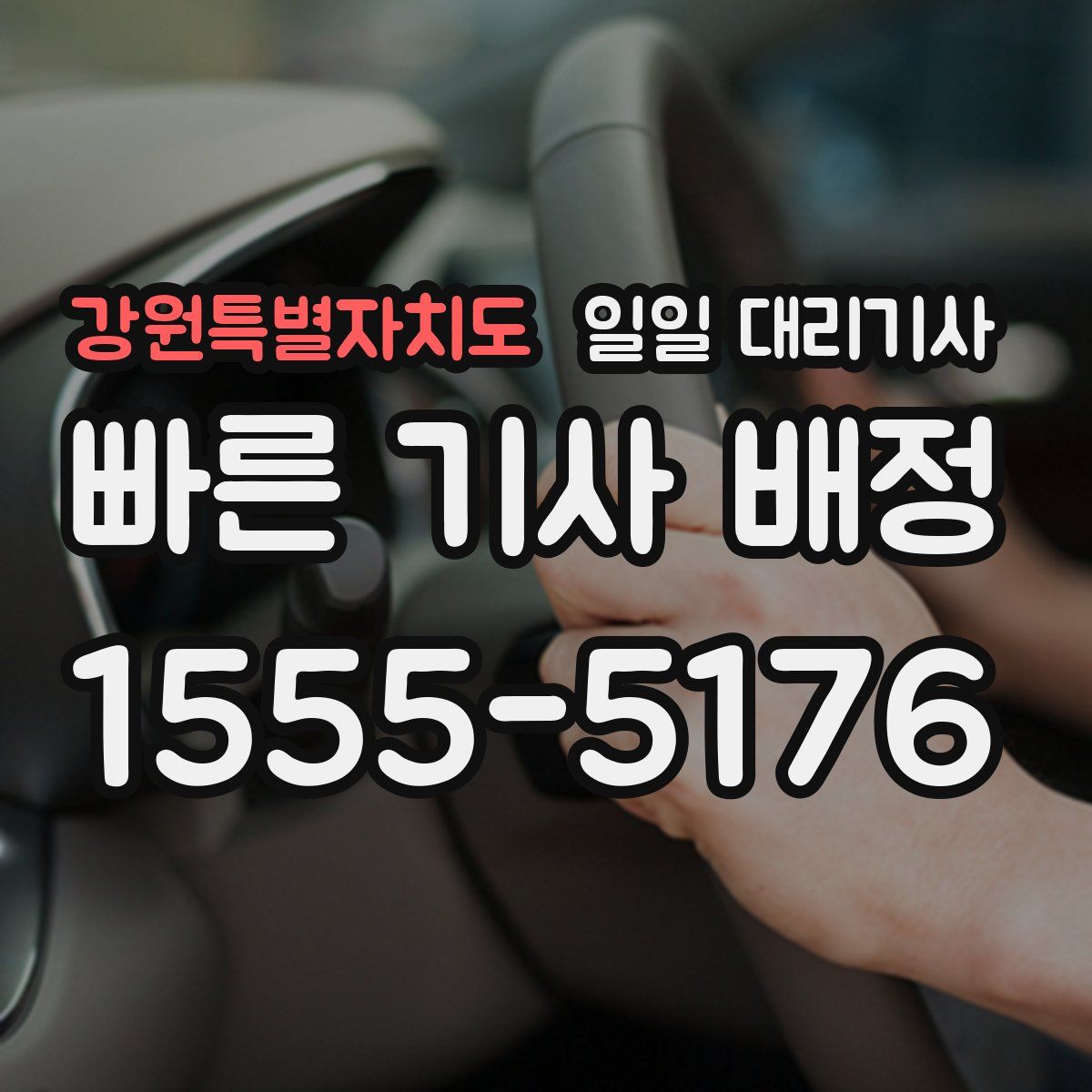 강원특별자치도 일일 대리기사