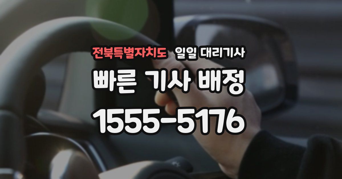 전북특별자치도 일일 대리기사