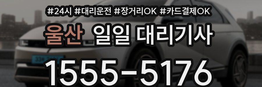 울산 일일 대리기사