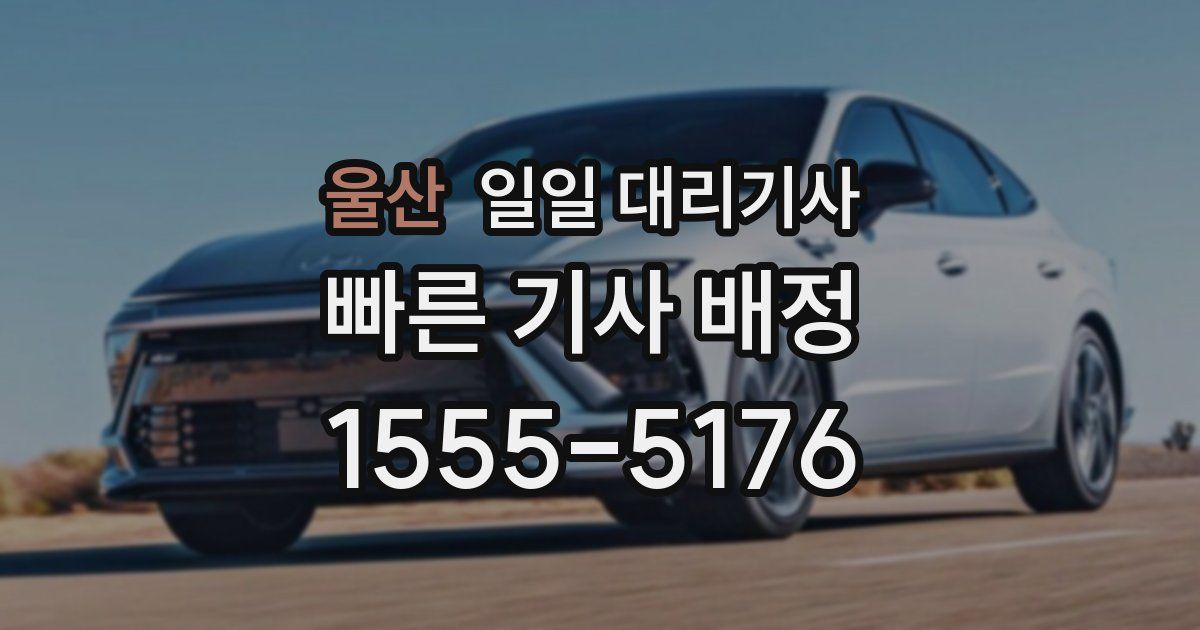 울산 일일 대리기사