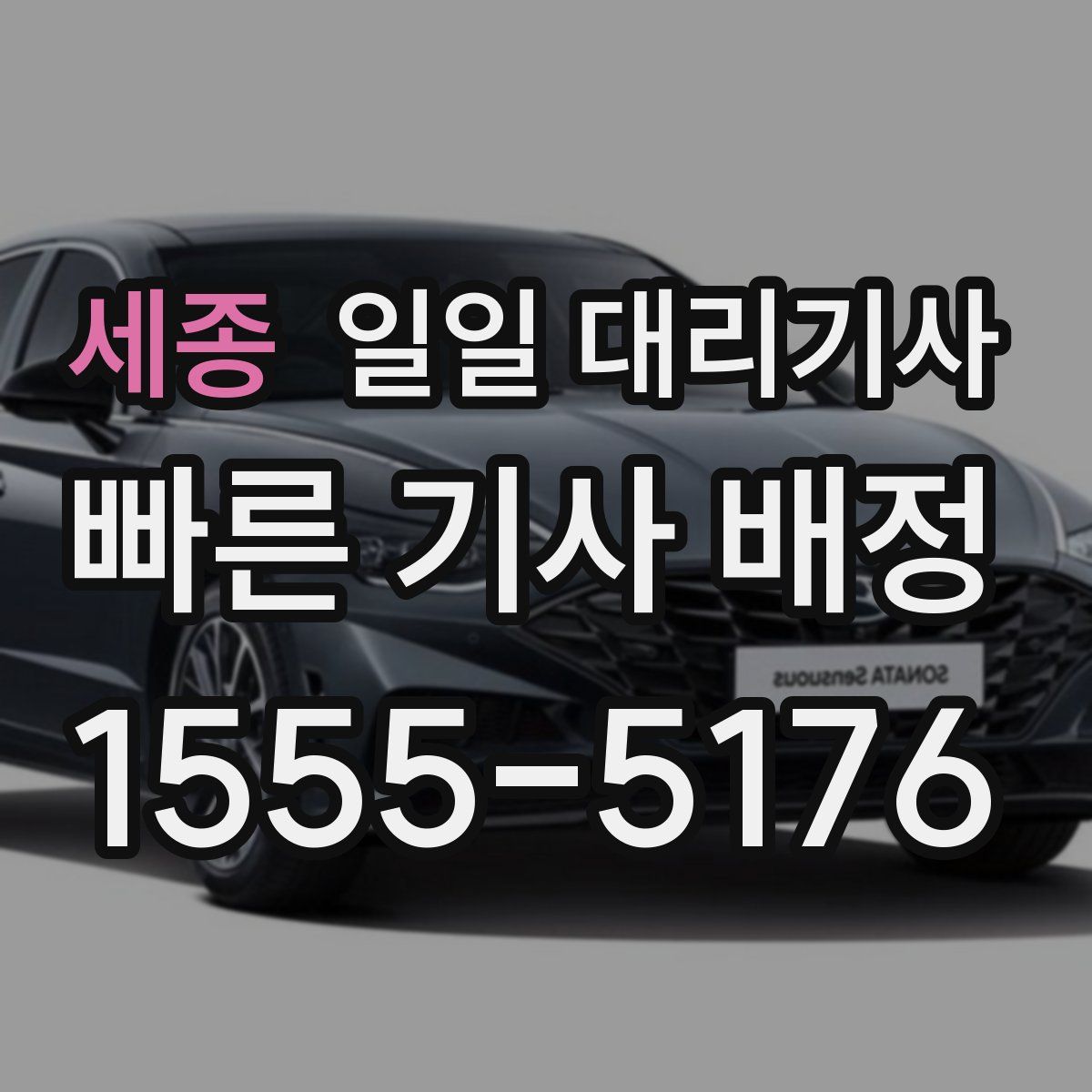 세종 일일 대리기사
