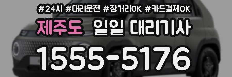 제주도 일일 대리기사