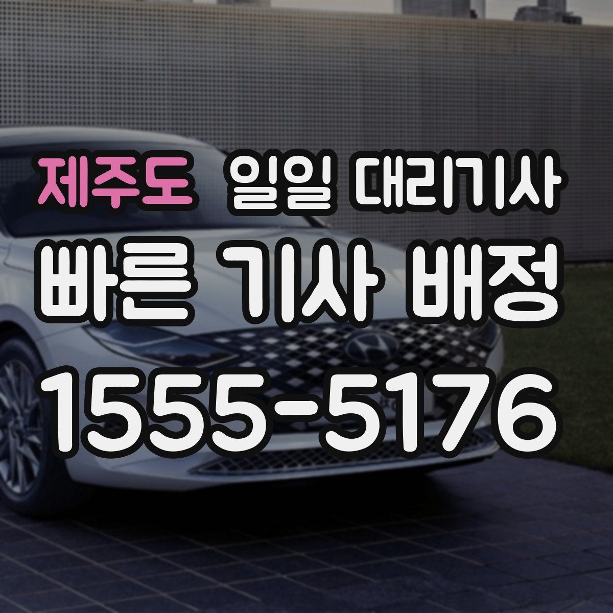 제주도 일일 대리기사