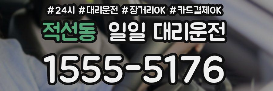 적선동 일일 대리운전