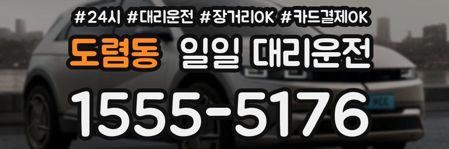 도렴동 일일 대리운전