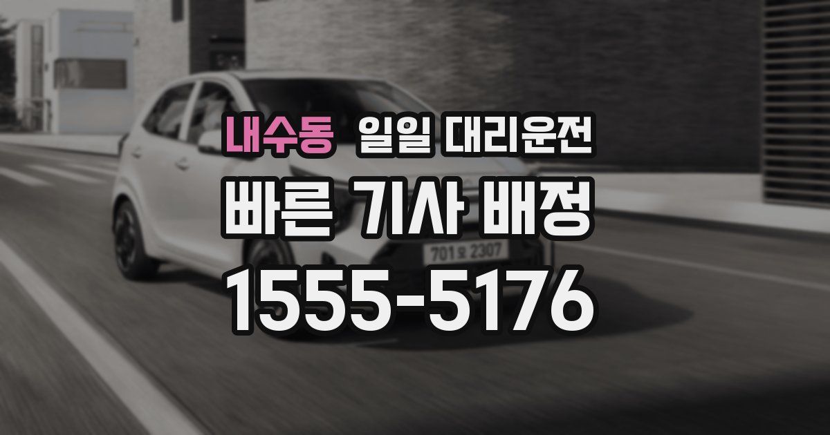 내수동 일일 대리운전