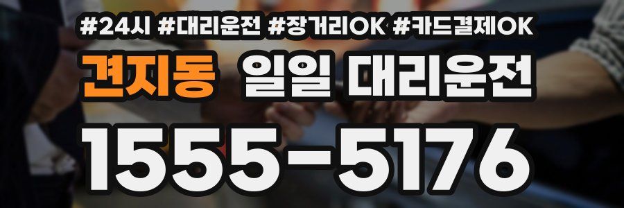 견지동 일일 대리운전